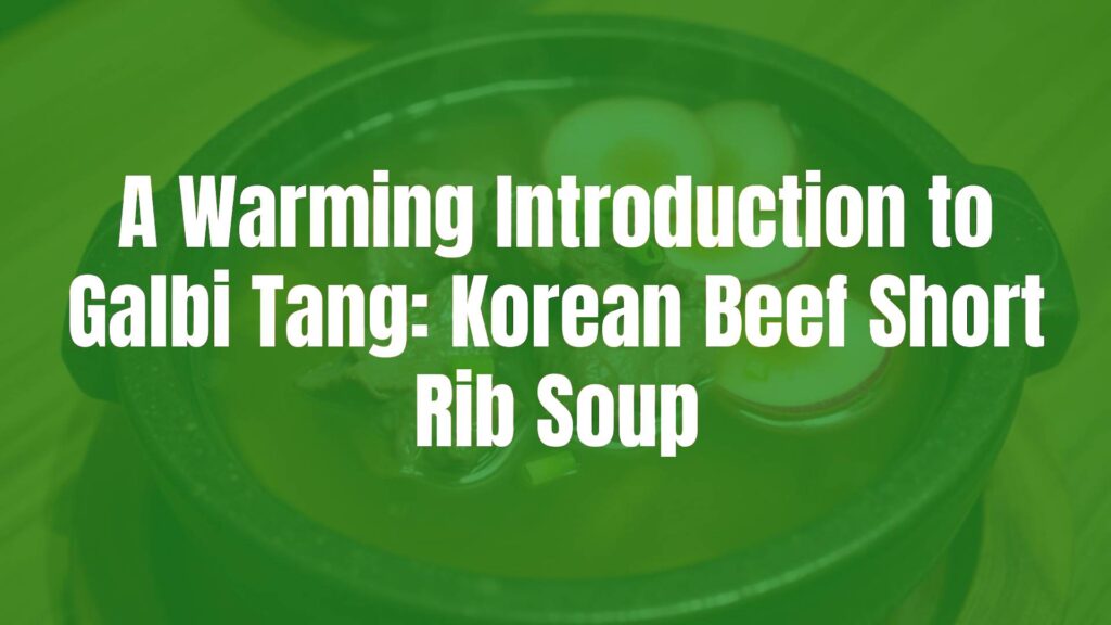 Korean beef short rib soup (galbi tang) in a traditional stone bowl, steaming hot with clear savory broth, tender beef, radish slices, and scallion garnish, cozy and appetizing, realistic food photography